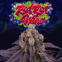 Red Red Wine (x3) +1